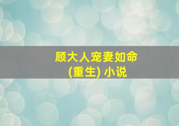 顾大人宠妻如命(重生) 小说